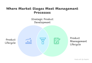 Product Management Lifecycle Explained