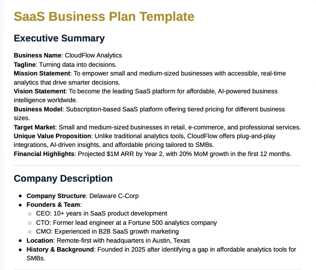 SaaS business plan template preview
