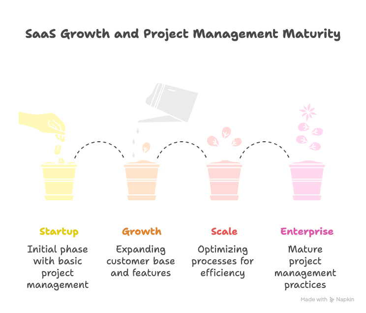 SaaS project management maturity